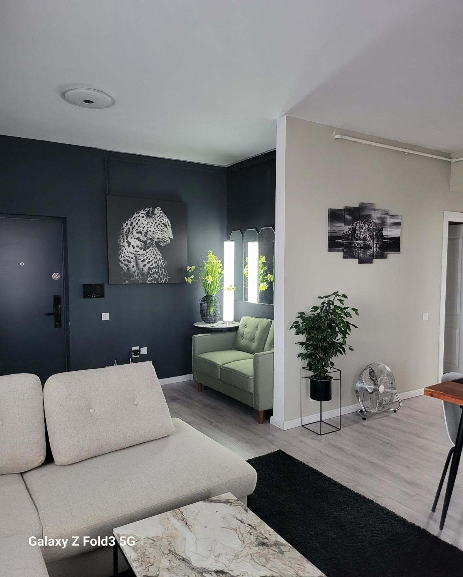 David'S Place Floreşti المظهر الخارجي الصورة
